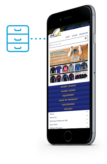 Hosting and Network Environment