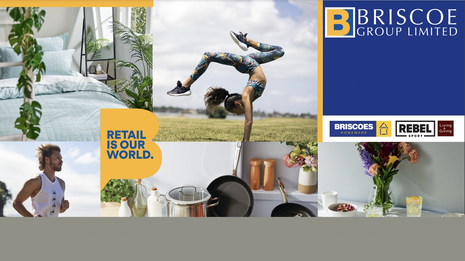 Briscoes group achieve fantastic online sales